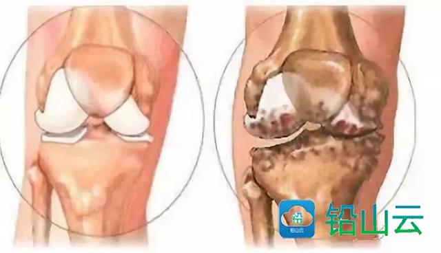 机场大亨2怎么玩_机场大亨怎么玩_机场大亨安卓版