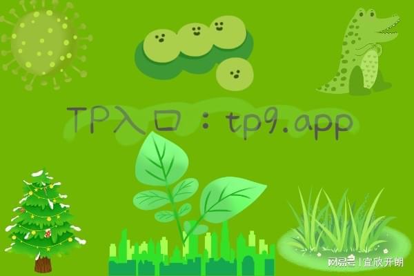 tp钱包官网最新版下载-TP 钱包官网最新版下载：开启数字资产世界的神奇之旅