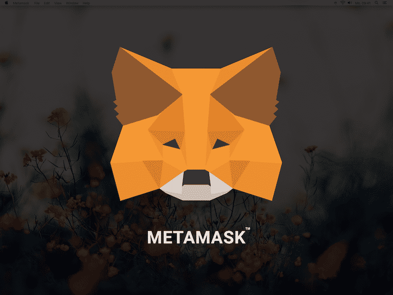 metamask手机钱包-Metamask 手机钱包：数字世界的钥匙，让加密货币交易变得简单