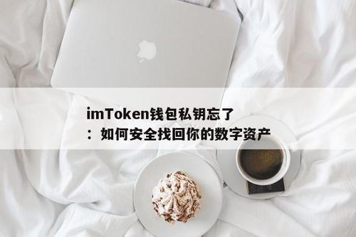 最新版imtoken钱包没有私钥吗,告别私钥烦恼，安全便捷体验升级