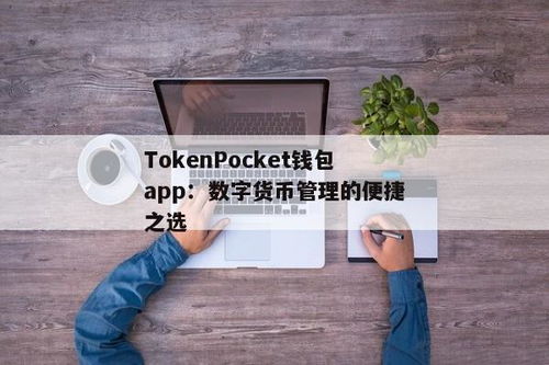 tokenpocket手机钱包app,TokePocke手机钱包APP——您的数字资产守护者