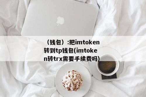 imtoken和tp钱包费用,imToke与TP钱包费用对比分析