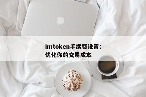 imtoken手续费怎么冲,imoke手续费充值指南