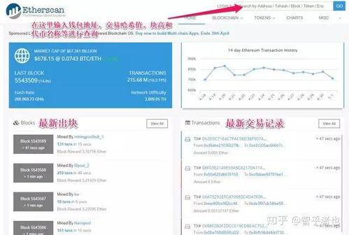 区块链钱包地址查询网站,揭秘数字资产背后的秘密