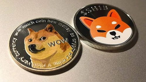 dogecoin钱包,安装、使用与备份恢复