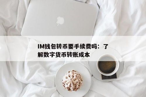 im钱包提币要手续费吗,IM钱包提币是否需要手续费？全面解析提币费用问题