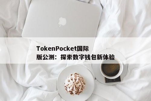 tokenpocket国内版和国际,数字钱包的全球视野