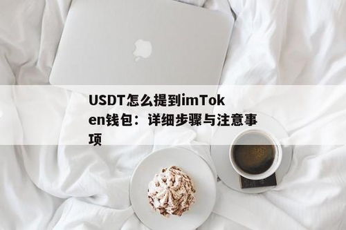 usdt提到imtoken,什么是USDT？