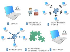 区块链涉及哪些语言,探索涉及的编程语言