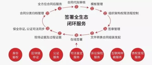 疫情时期区块链技术,疫情时期区块链技术的应用与展望