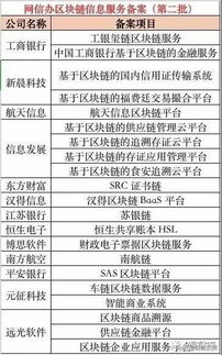 区块链支付哪家最强,区块链支付哪家最强？揭秘行业领军者