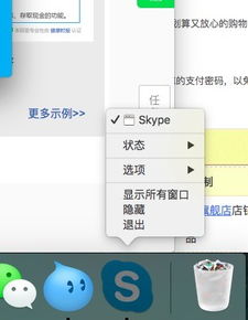 mac电脑如何退出skype,Mac电脑上如何安全退出Skype