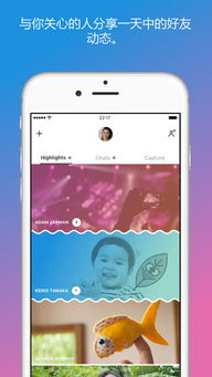 skype for iphone 下架,回顾其辉煌历程与未来展望