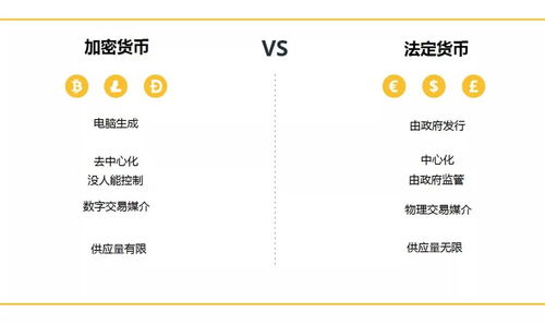 一级加密货币有哪些,从比特币到新兴潜力币的崛起之路