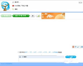 skype 登录界面要填组织注册地址,揭秘组织注册地址填写攻略