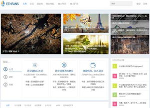 以太坊 ethfans.org,ethfans.org深度解析
