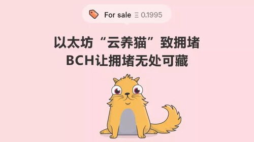 以太坊 猫ico,引领数字艺术与区块链技术的跨界融合