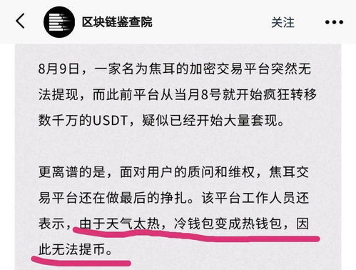 十大最安全的冷钱包,守护数字资产的安全堡垒