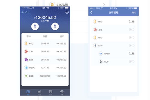 虚拟货币手机钱包,虚拟货币手机钱包安全与便捷体验全解析