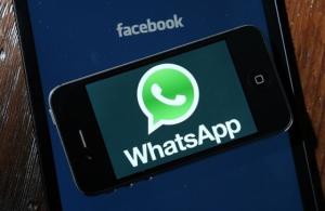 一个手机用一个whatsapp,WhatsApp助力构建实时沟通新篇章