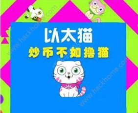 以太坊 猫 基因,基因奥秘与虚拟宠物世界的繁荣