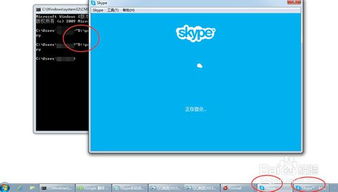 一台电脑只能上一个skype,一台电脑上的Skype独角戏
