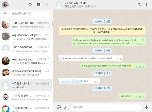 国内如何使用whatsapp详细操作,轻松开启国际沟通新篇章