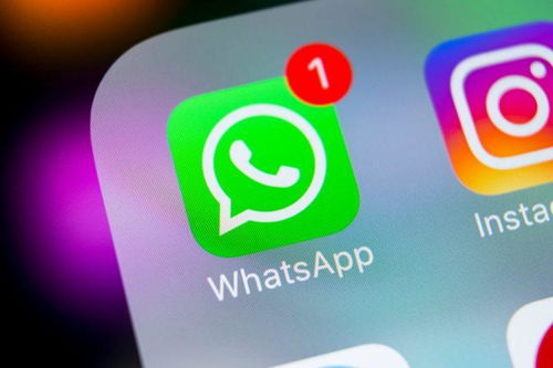 国产手机能用whatsapp,WhatsApp使用指南一网打尽”