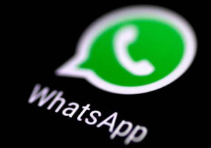 国际警方用whatsapp,揭秘即时通讯工具在执法中的应用”