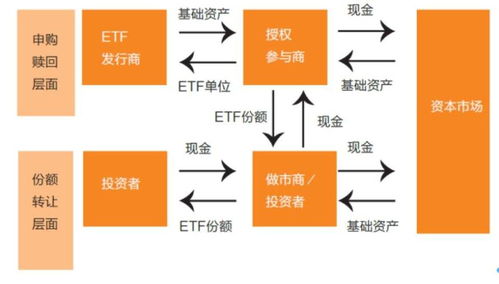 货币主流化加密,解码数字资产的未来趋势