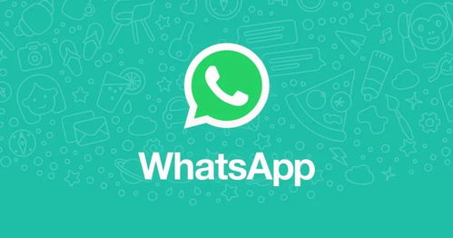 海外人也用whatsapp,WhatsApp助力全球沟通与商业拓展