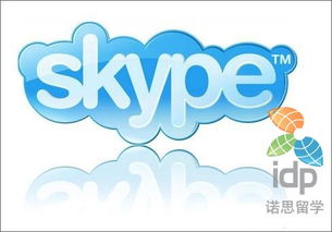 国外大学skype,国外大学Skype教学实践综述