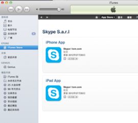 电脑版skype 不能下载,Skype电脑版无法下载问题解析