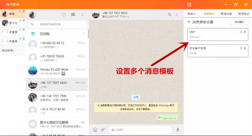 不可缺少的whatsapp群发,高效沟通的便捷之道