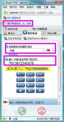 skype拨打国内电话打不了,原因解析及解决方案