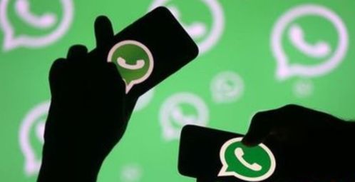 出海搜whatsapp,探索跨文化沟通新机遇