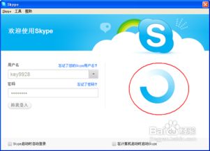 skype 老版 下载 百度百科,回顾百度百科中的经典通信工具