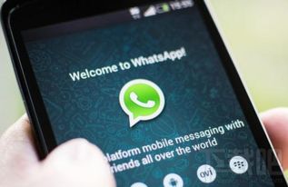 大陆为何屏蔽whatsapp,中国大陆屏蔽WhatsApp的背后原因