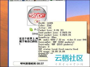 skype不可以接听,排查与解决常见问题指南