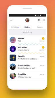 跟Skype类似的聊天软件,揭秘Skype风格聊天软件的构建与功能