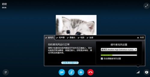 skype传视频没声音,Skype视频传输无声音问题解析与解决技巧