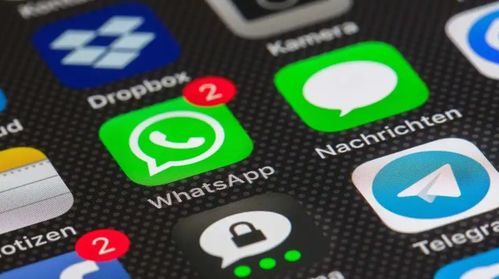 不可缺少的whatsapp群控,不可或缺的社交管理利器