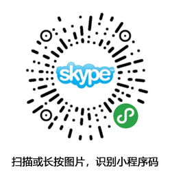 skype充值 延迟,揭秘背后的原因及应对策略