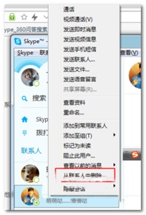 skype的皮肤名字,时尚与功能的完美融合