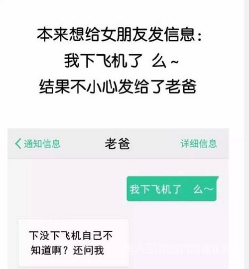 skype发错信息了怎么办,Skype发错信息紧急应对指南