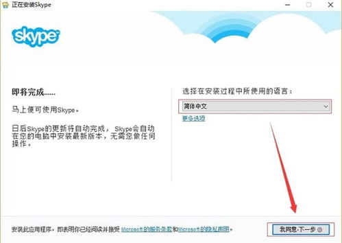 Skype的英文是什么,Unveiling the English Title: Skype's Global Communication Revolution