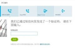 skype打中国怎么显示号码,Skype拨打中国电话号码显示设置与限制解析