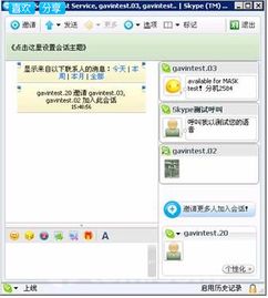 Skype对话中的 是什么意思,Skype对话中的“是什么意思”揭秘