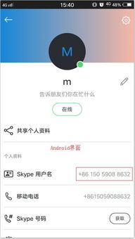 查找skype帐号,如何查找与生成个性化账号