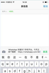 俄罗斯好友whatsapp,俄罗斯好友WhatsApp见证友谊新篇章